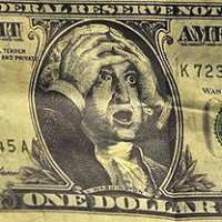 De dollar is aangeschoten wild