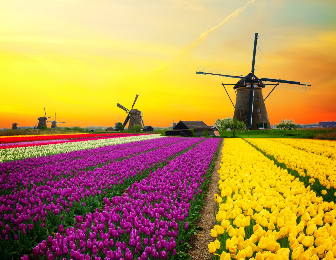 Nederlandse oppositie tegen Corona-obligaties uitgelegd