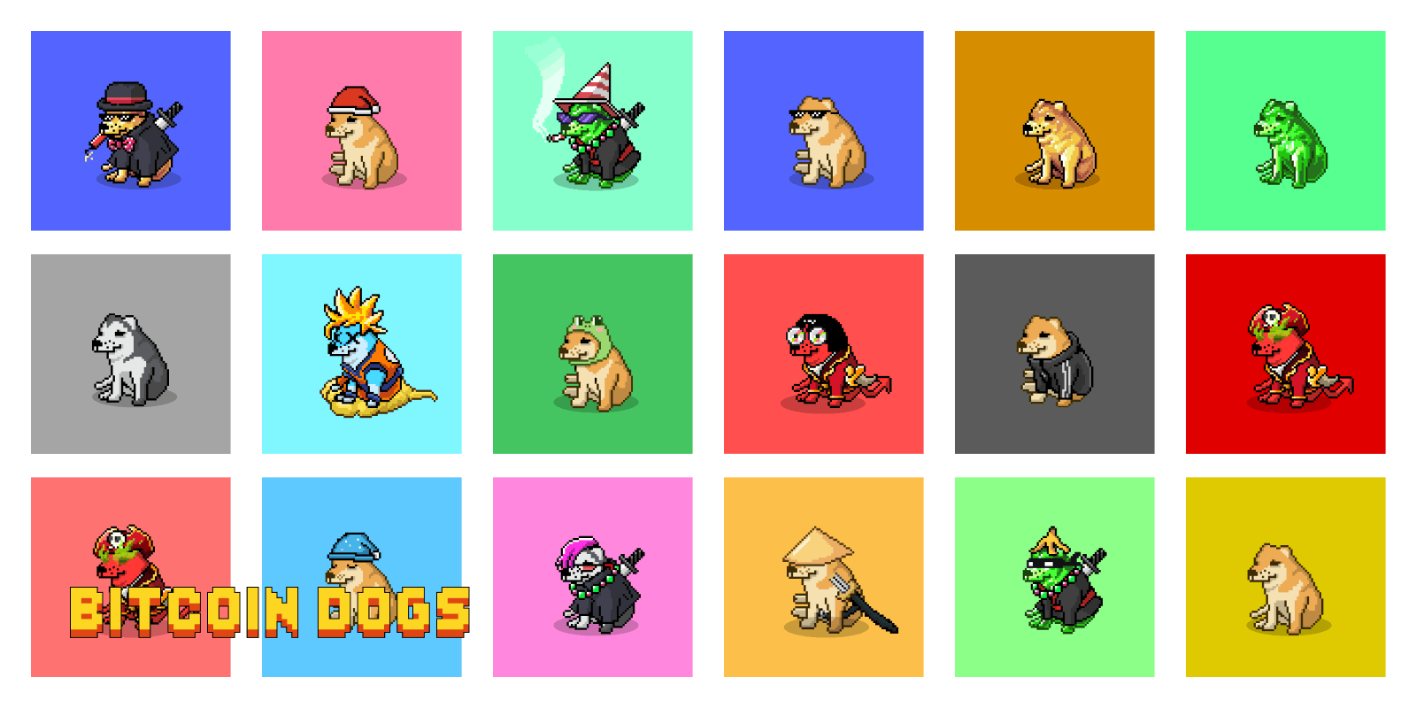 Nederlandse investeerders crashen server tijdens poging om laatste Bitcoin Dogs tokens te kopen